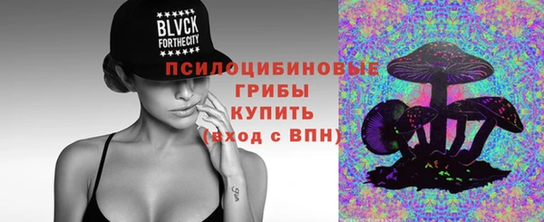 дживик Верея