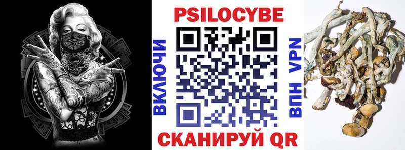 даркнет сайт  Павловск  Галлюциногенные грибы Magic Shrooms 